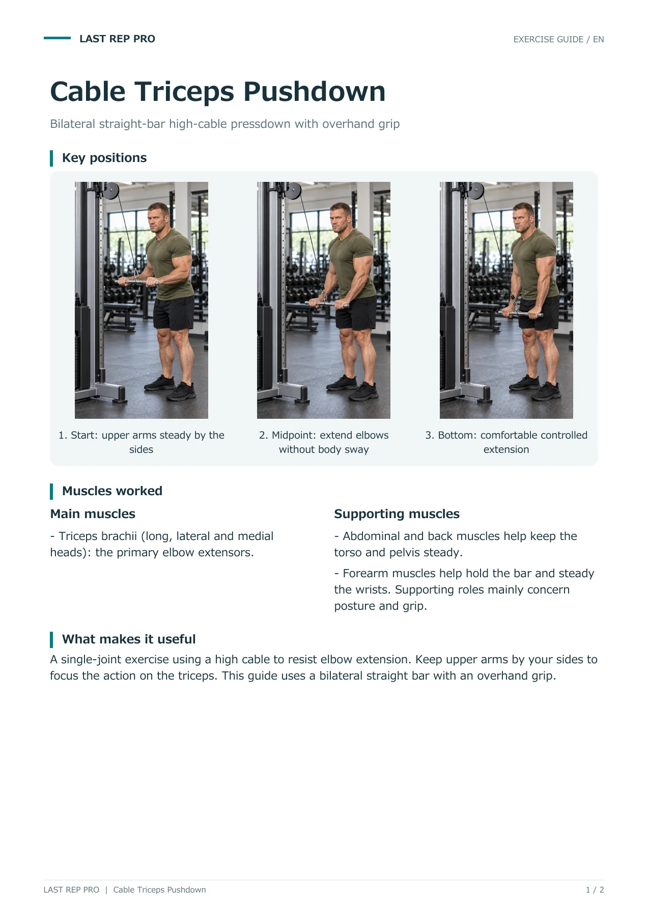 Cable Triceps Pushdown: English PDF page 1 of 2