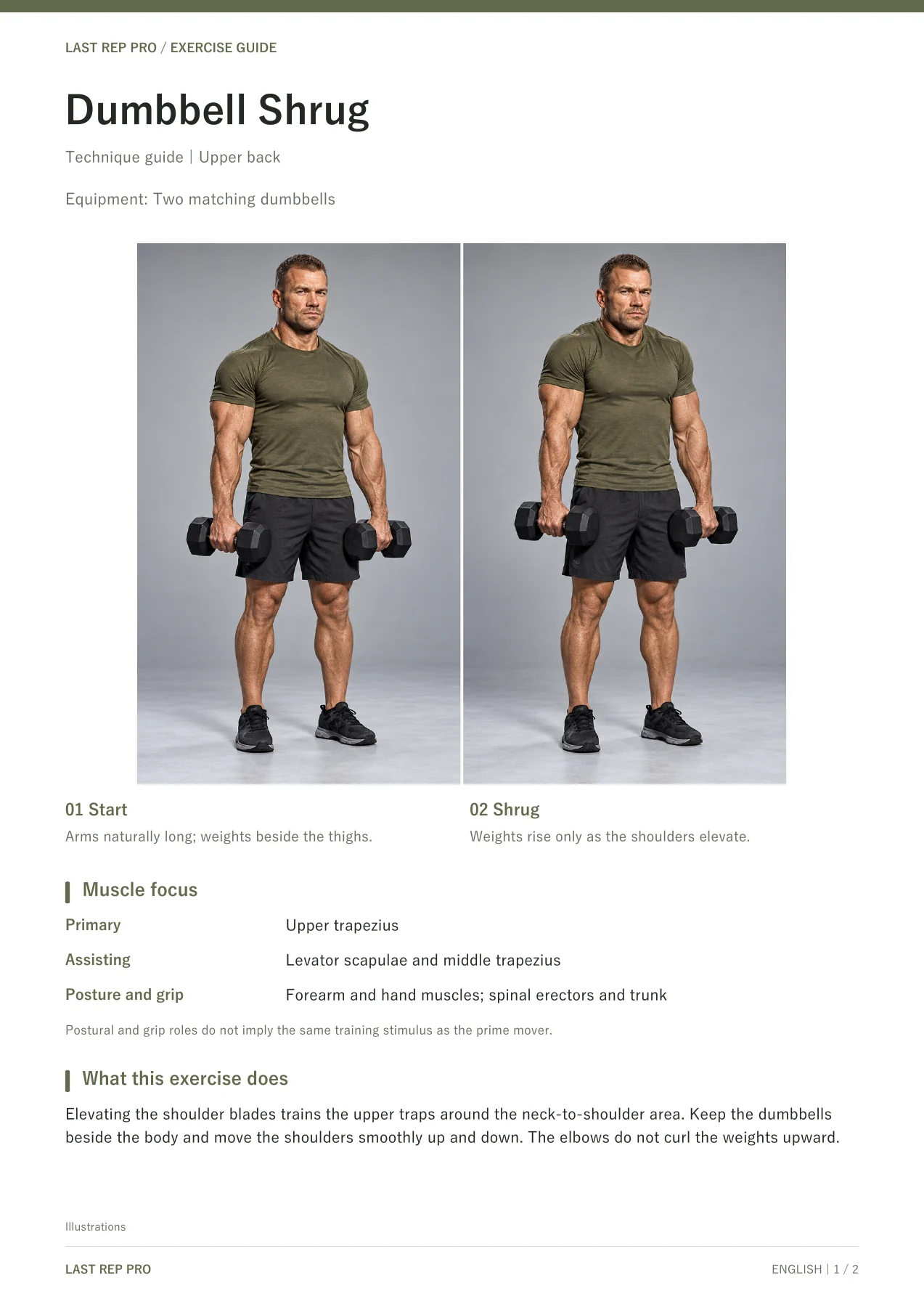 Dumbbell Shrug: English PDF page 1 of 2