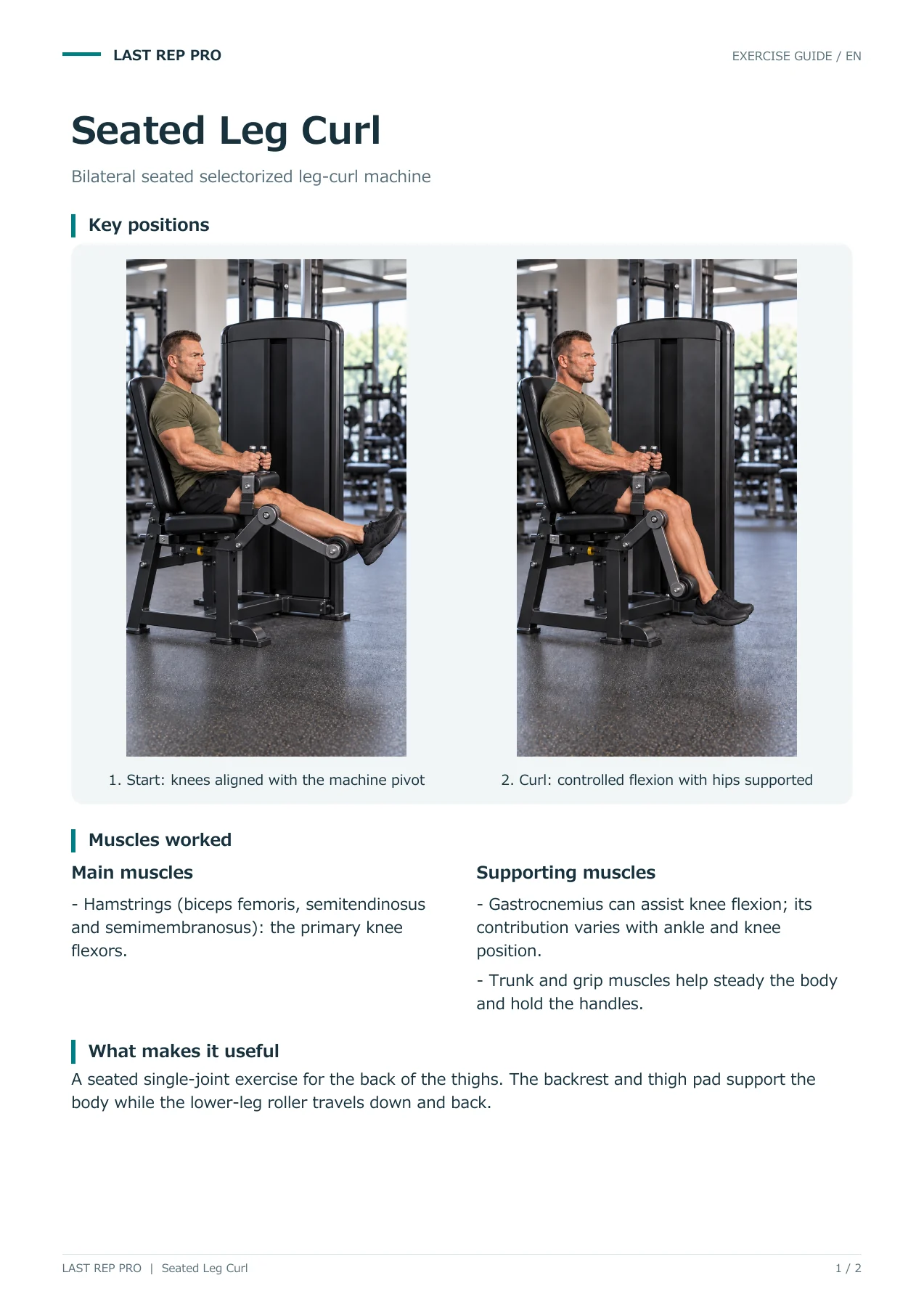 Seated Leg Curl: English PDF page 1 of 2