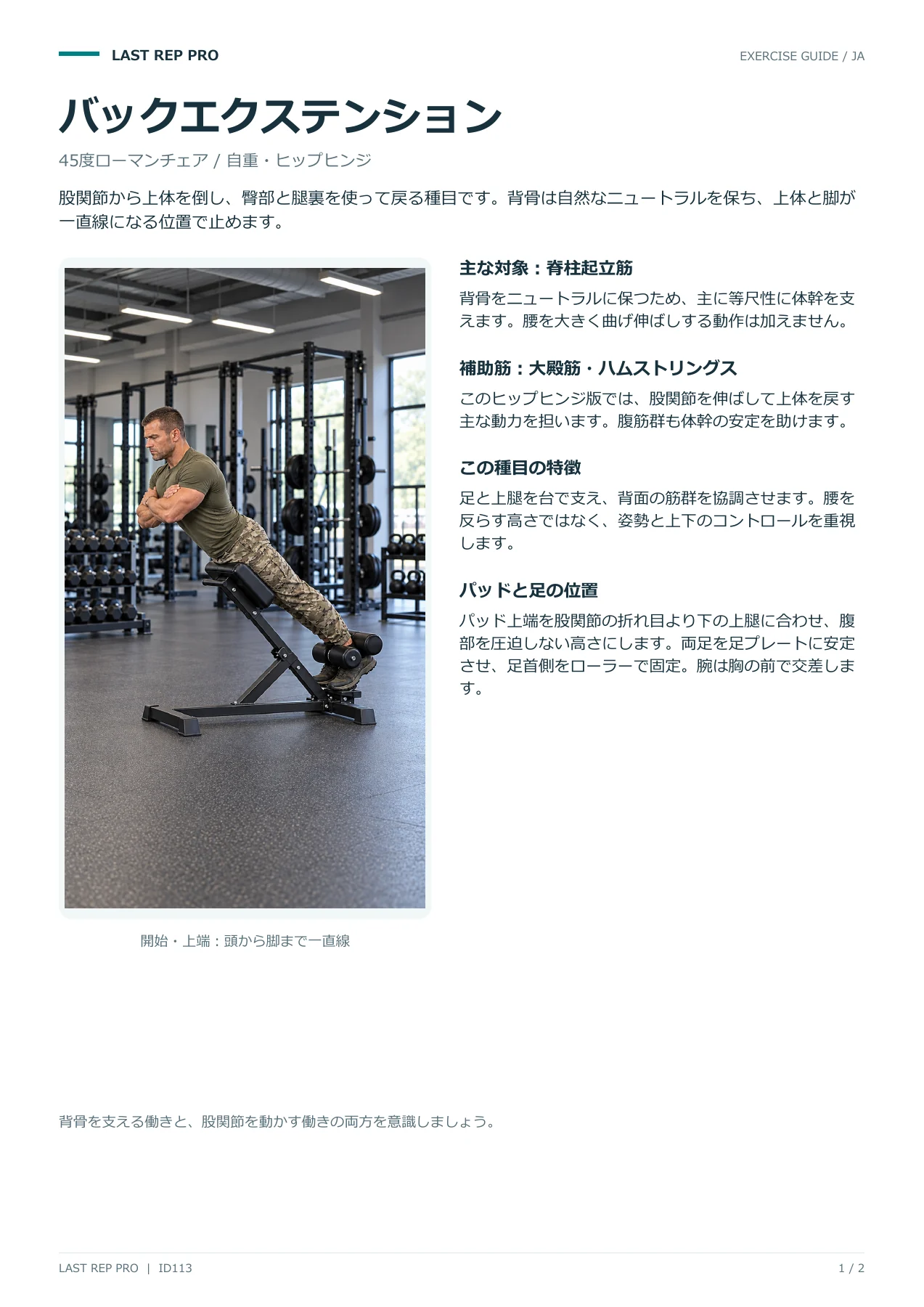 バックエクステンション:解説PDF 1 / 2ページ