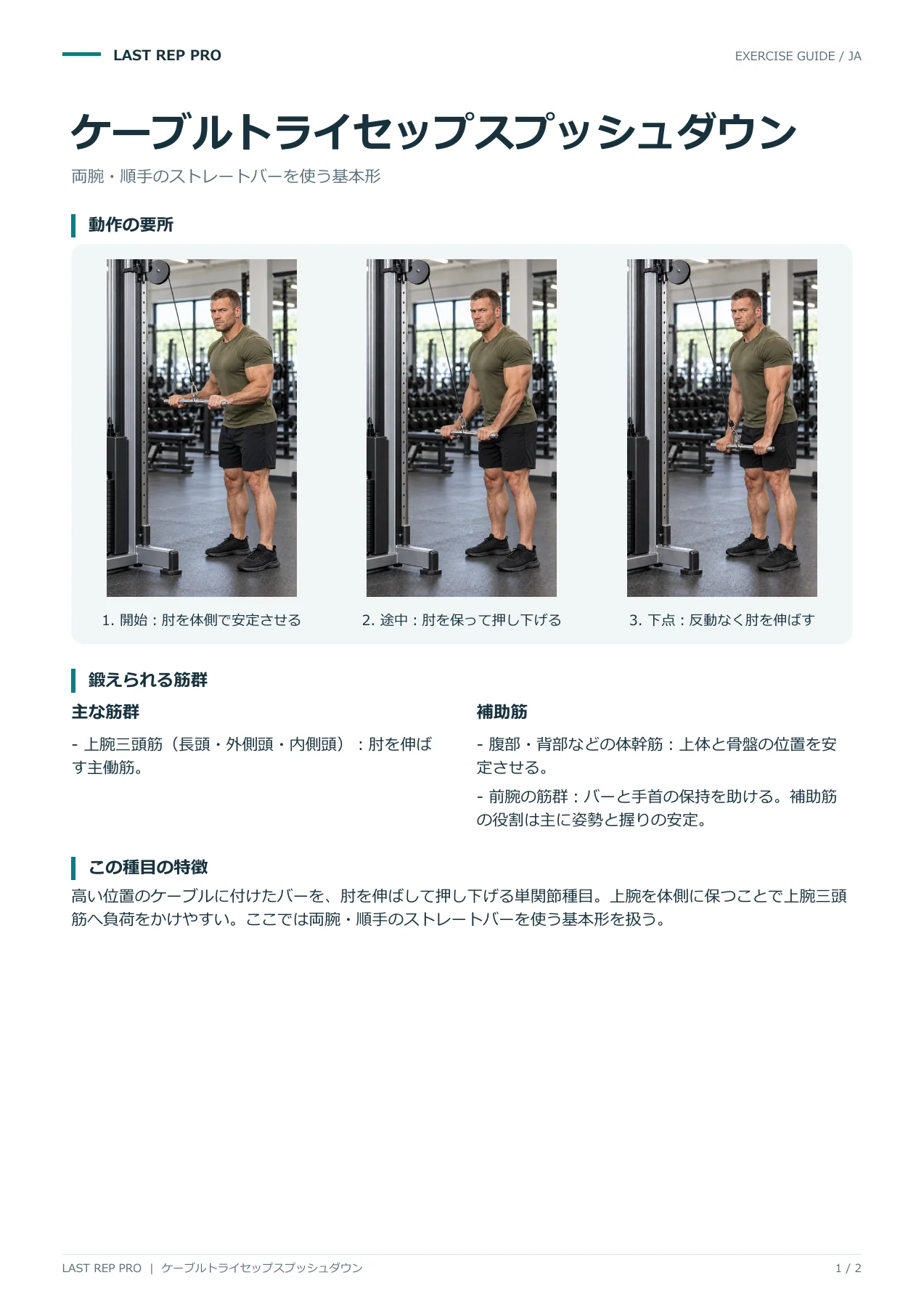 ケーブルトライセップスプッシュダウン:解説PDF 1 / 2ページ