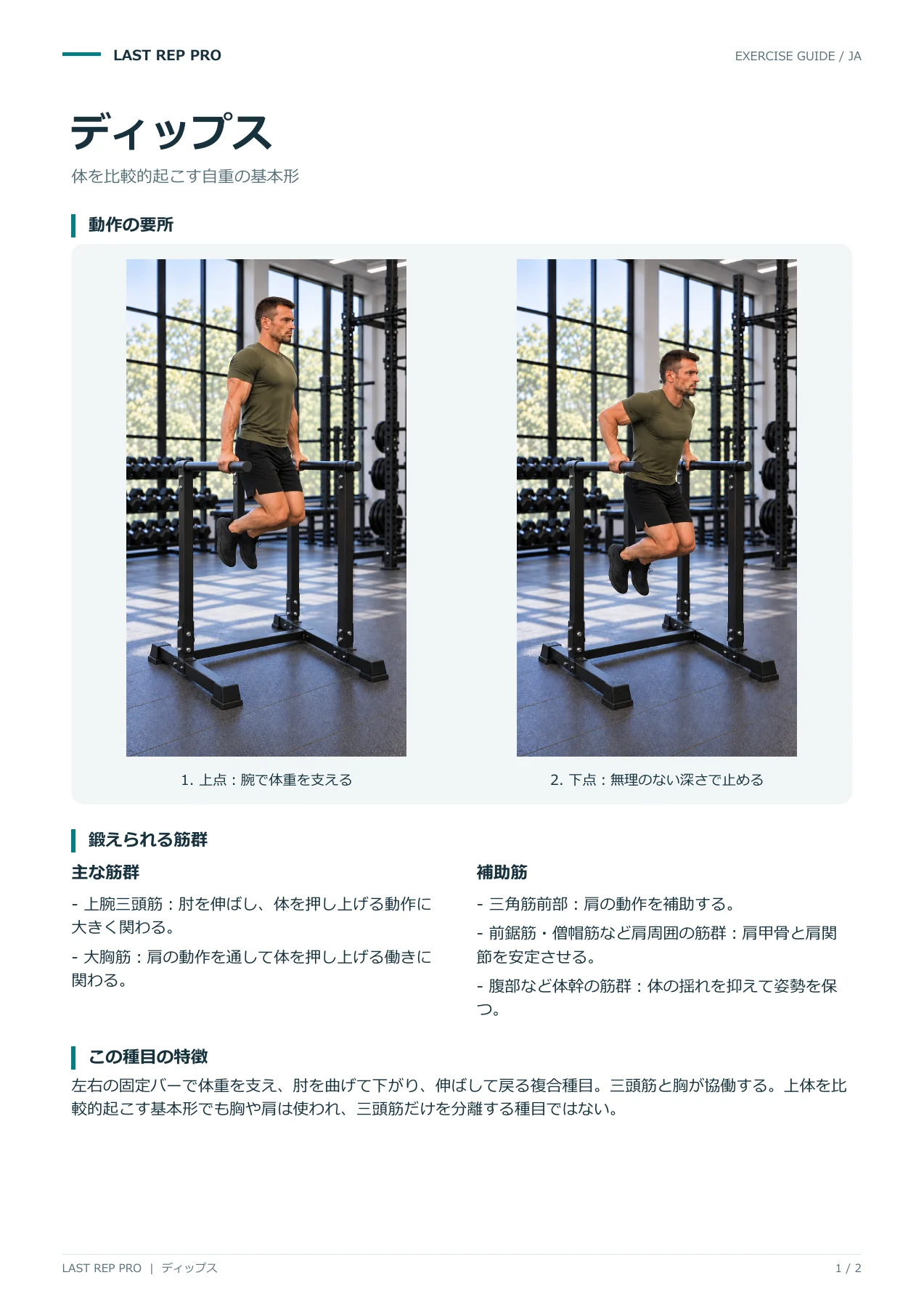 ディップス:解説PDF 1 / 2ページ