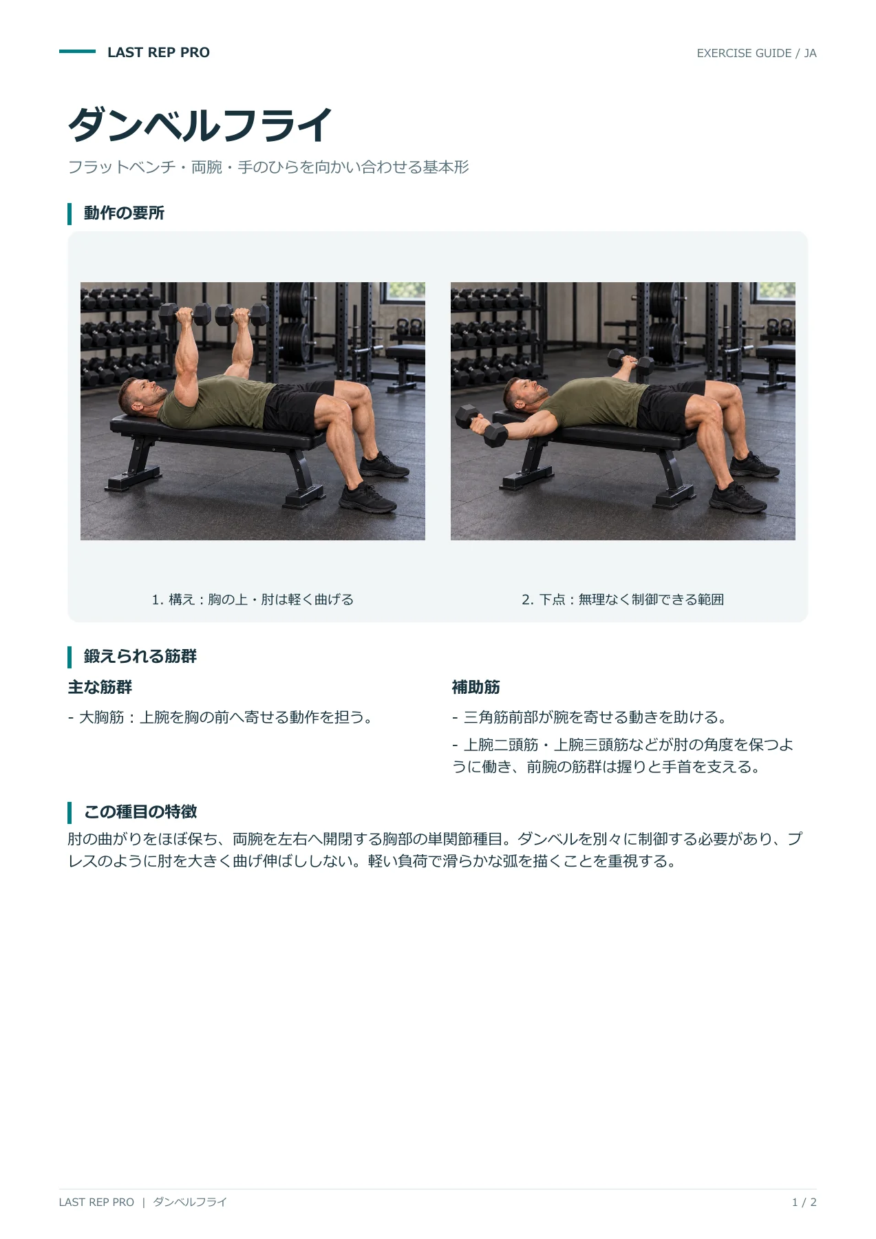 ダンベルフライ:解説PDF 1 / 2ページ