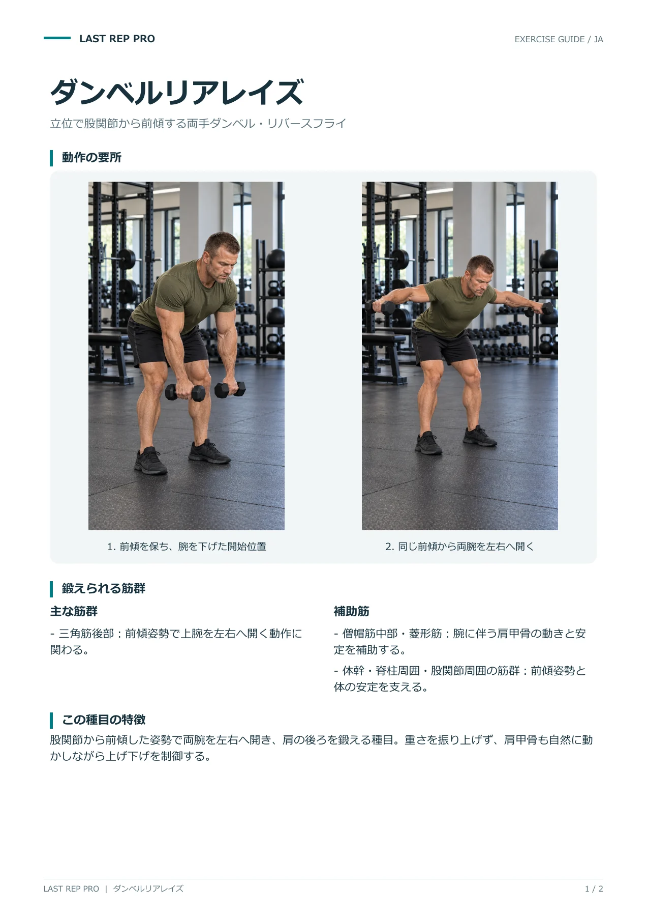 ダンベルリアレイズ:解説PDF 1 / 2ページ