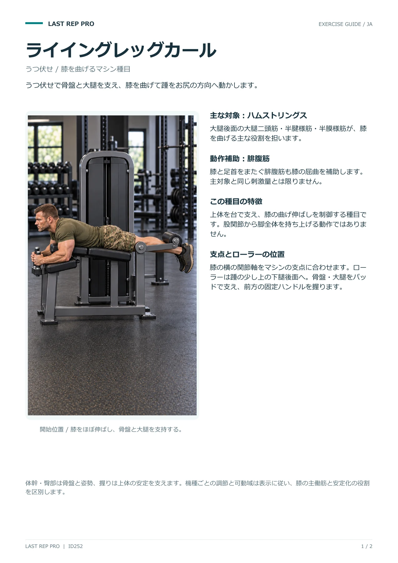 ライイングレッグカール:解説PDF 1 / 2ページ